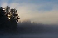 Autumn Forest, Foggy Bogs and Lake Superior Shoreline, Porcupine Mountains Wilderness State Park and Environs, Michigan